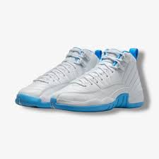 Nike Air Jordan Retro 12